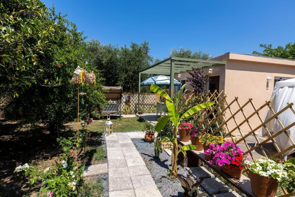 Bougainvillea House With Private Garden Farai